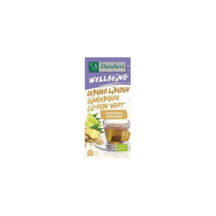 DAMHERT TISANE WELLBEING TEA TIME GINGEMBRE CITRON VERT B20 SACHETS
